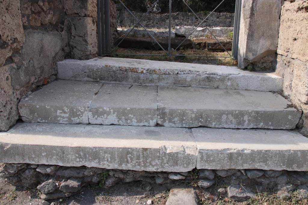 VI.17.17 Pompeii. September 2021. Steps leading to vestibule. Photo courtesy of Klaus Heese.