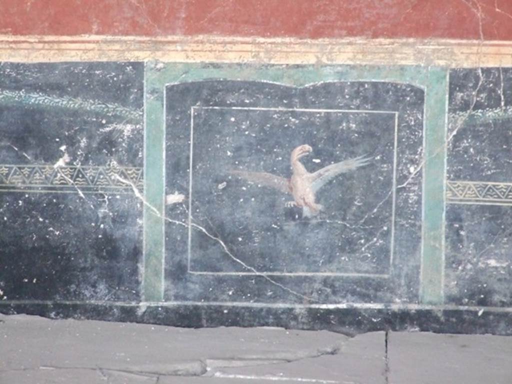 VI.17.42 Pompeii. December 2007. Triclinium 20 overlooking garden, 
Black painted zoccolo on east wall with painting of an eagle with wings spread. 
