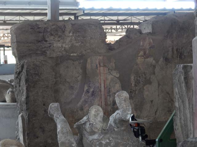 VI.17.42 Pompeii. May 2015. Detail of a body-cast on north-west side of atrium. 