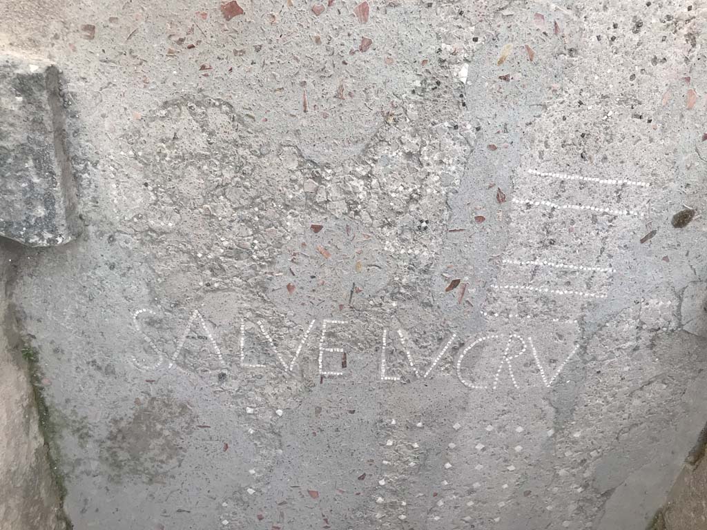 VII.1.47 Pompeii, May 2018. Entrance corridor 1 with mosaic of SALVE LVCRV. Photo courtesy of Buzz Ferebee.