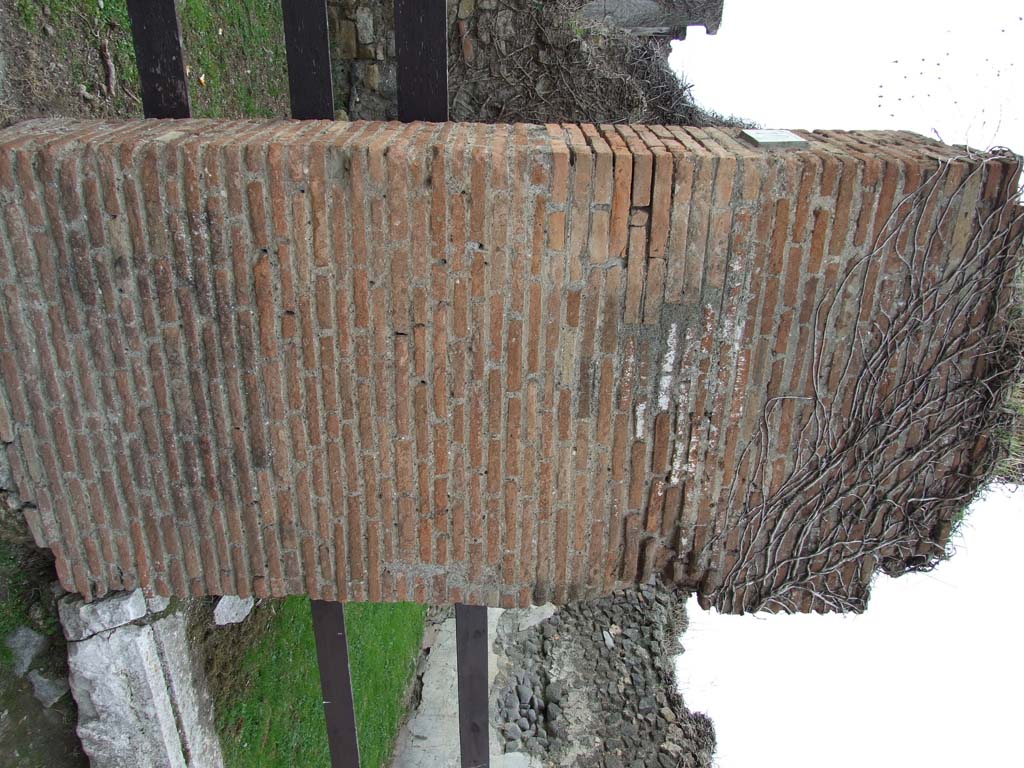 VII.2.11 Pompeii. October 2017. Pilaster on left (south) side of entrance doorway.
Foto Taylor Lauritsen, ERC Grant 681269 DÉCOR.
