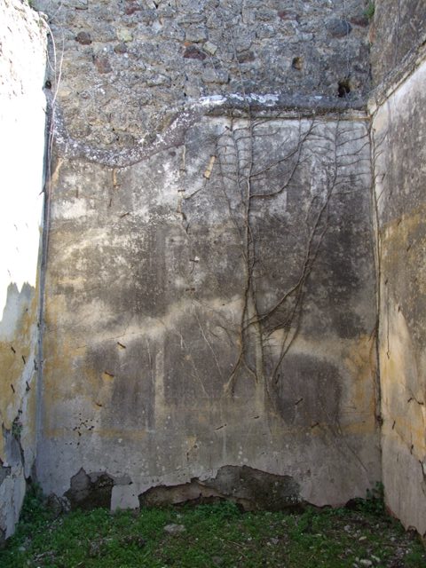 VII.2.18 Pompeii. March 2009. Room 4, south wall of cubiculum.  