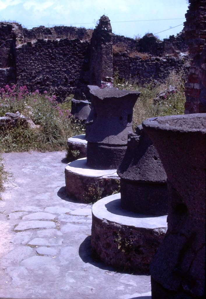 VII.2.22 Pompeii. July 1980. Looking east across mills in bakery. 
Photo courtesy of Rick Bauer, from Dr George Fay’s slides collection.
