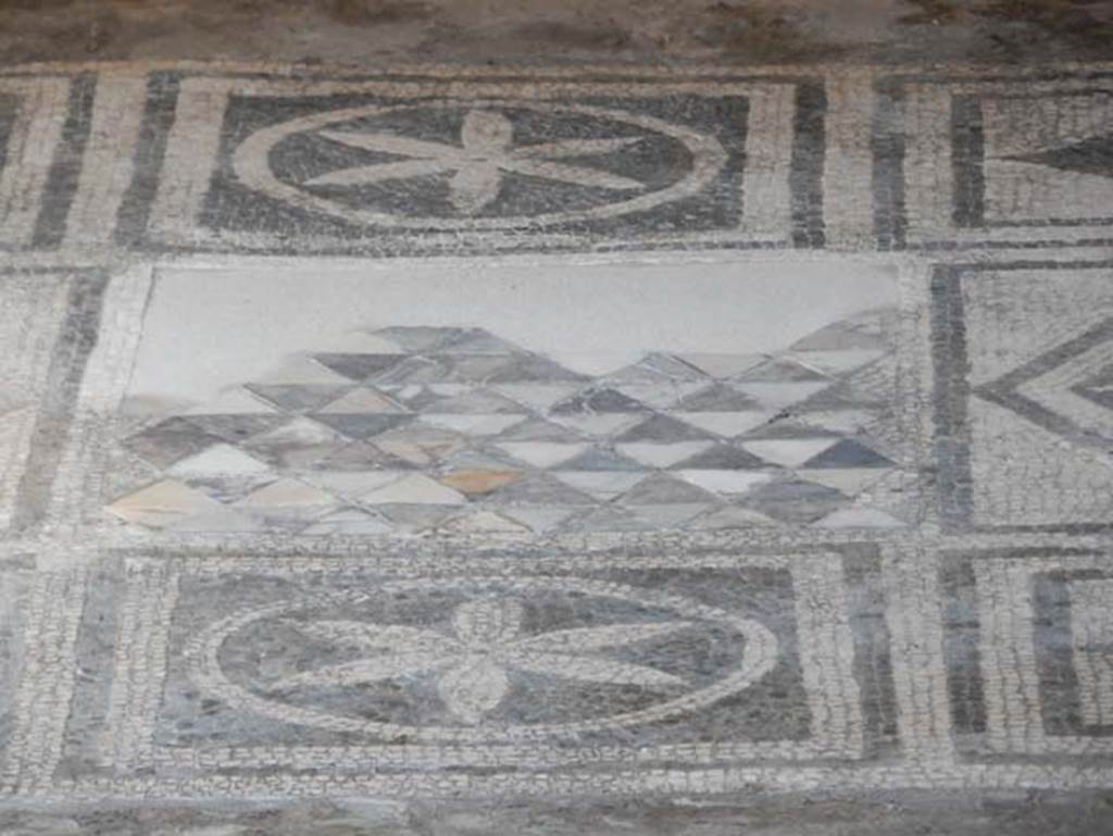 VII.2.45 Pompeii, May 2018. Detail of flooring in triclinium. Photo courtesy of Buzz Ferebee.