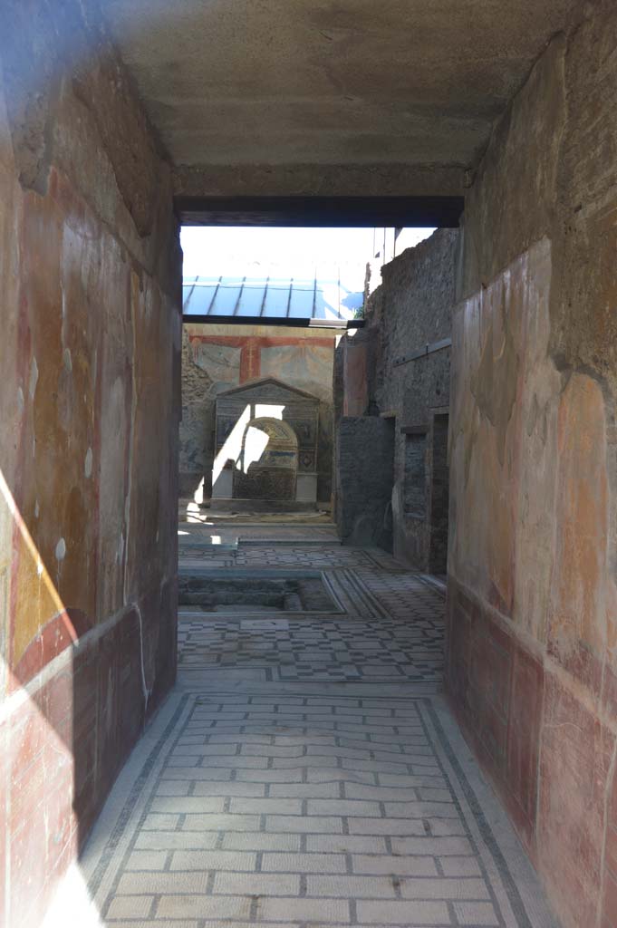 VII.2.45 Pompeii. October 2017. Looking north along entrance corridor, detail of painted walls. 
Foto Taylor Lauritsen, ERC Grant 681269 DÉCOR.
