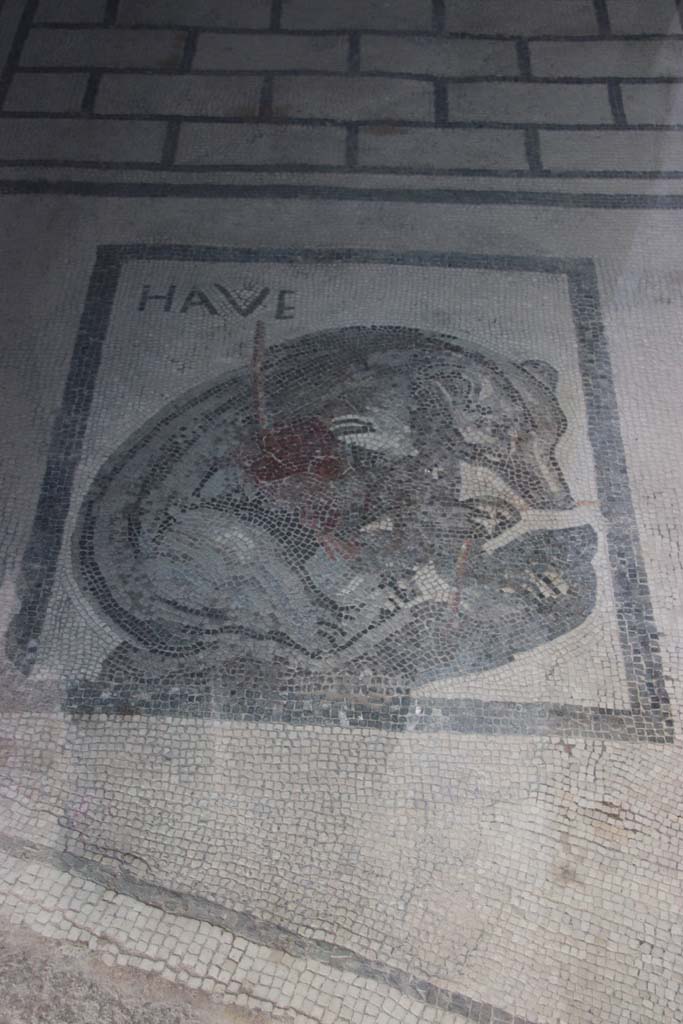 VII.2.45 Pompeii, May 2018. Bear mosaic in vestibule, detail. Photo courtesy of Buzz Ferebee.


 
