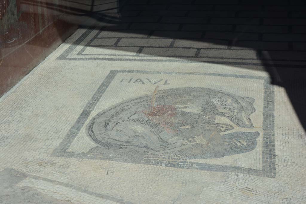 VII.2.45 Pompeii. September 2017. Flooring in vestibule with bear mosaic.
Photo courtesy of Klaus Heese.

