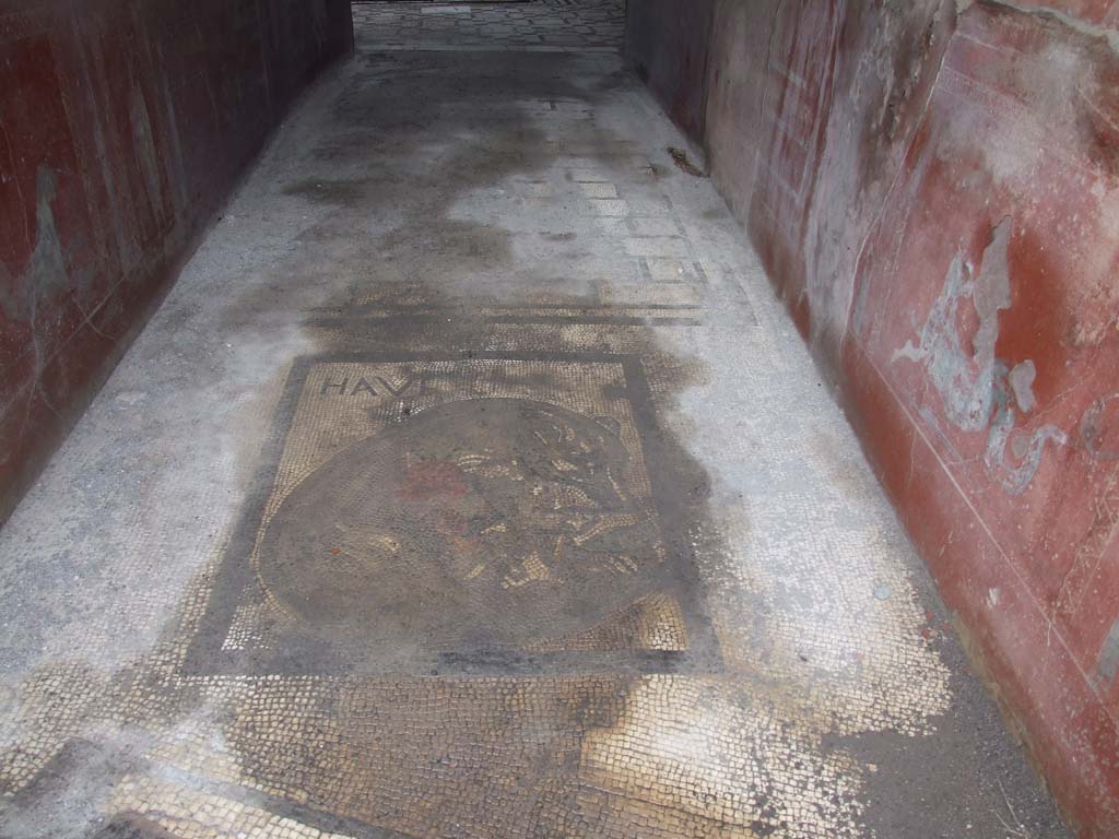 VII.2.45 Pompeii. March 2017. Mosaic floor in vestibule. Photo courtesy Adrian Hielscher.