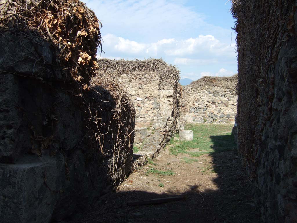 VII.3.38 Pompeii. September 2005. Looking east along entrance corridor.