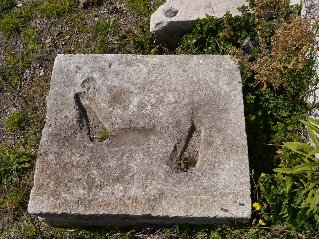 VII.4.2, Pompeii. March 2019. Detail of square block from VII.4.2, near north wall.
Foto Anne Kleineberg, ERC Grant 681269 DÉCOR.
