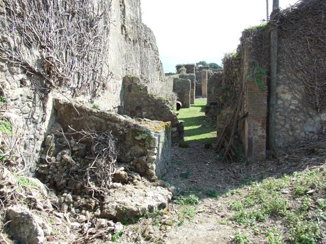 VII.4.29 Pompeii.  March 2009.  Looking south from rear boundary.