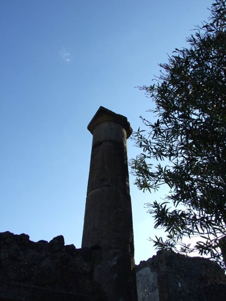 VII.4.31 Pompeii.  March 2009.  Column of North Peristyle.