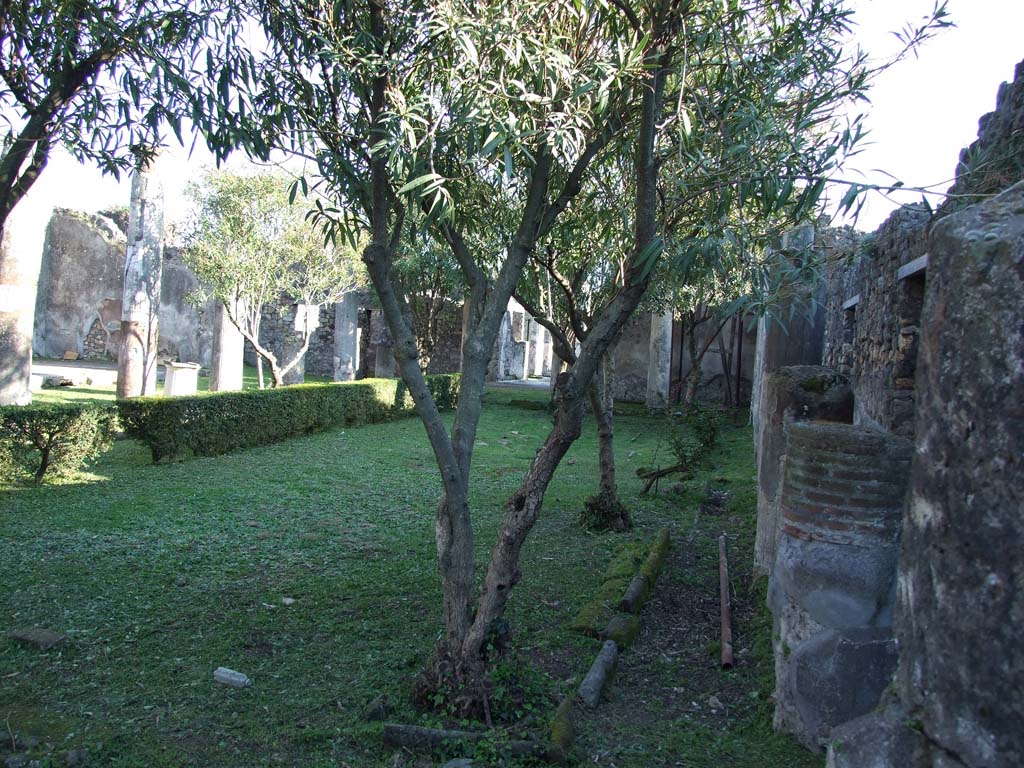 VII.4.31/51 Pompeii. March 2009. North peristyle, looking south-east.