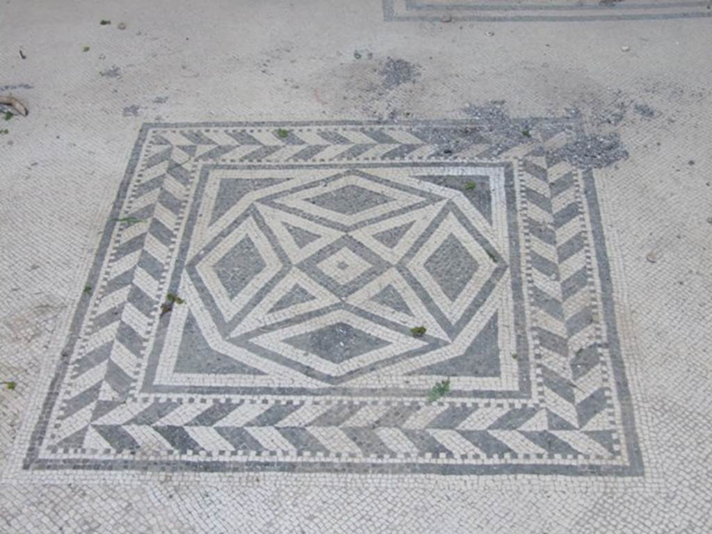 VII.4.31 Pompeii.  March 2009.  Room 6. Ala.  Emblema in mosaic floor decoration.