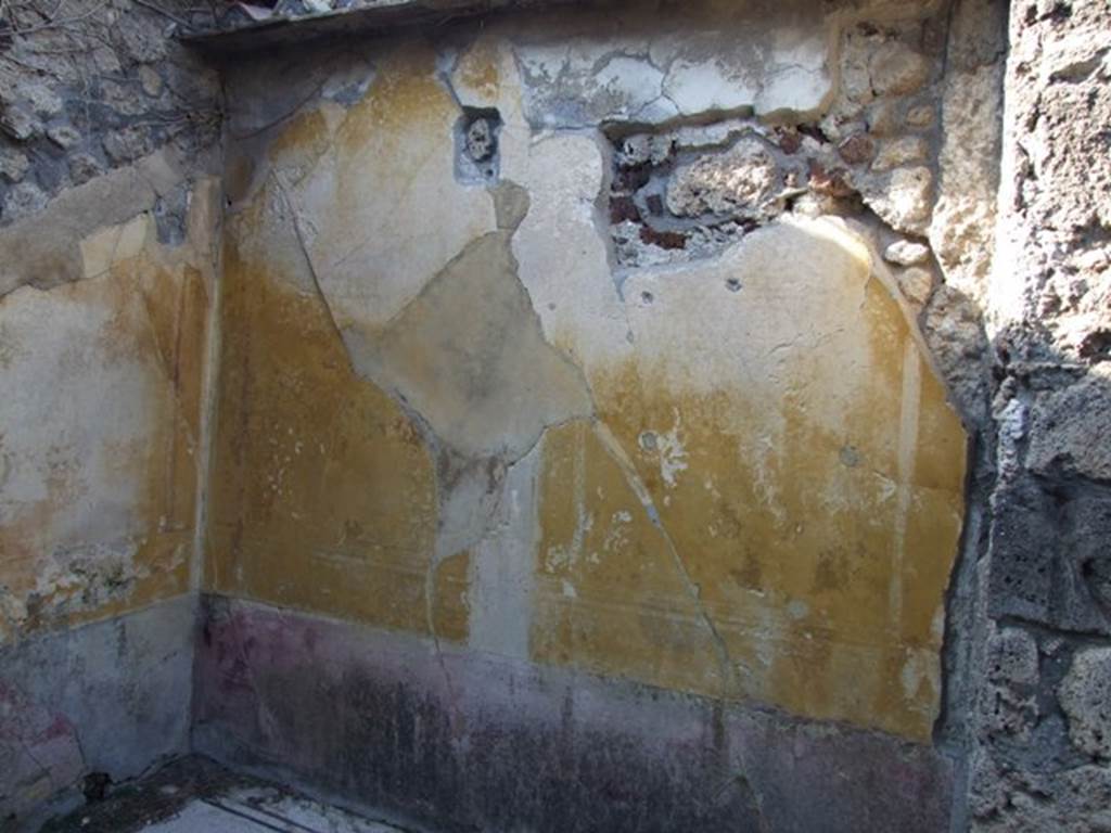 VII.4.31 Pompeii.  March 2009.   Room 15.  North wall.