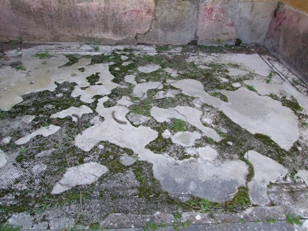 VII.4.31 Pompeii.  March 2009.  Room 15.  White mosaic floor, with border of two black lines.
