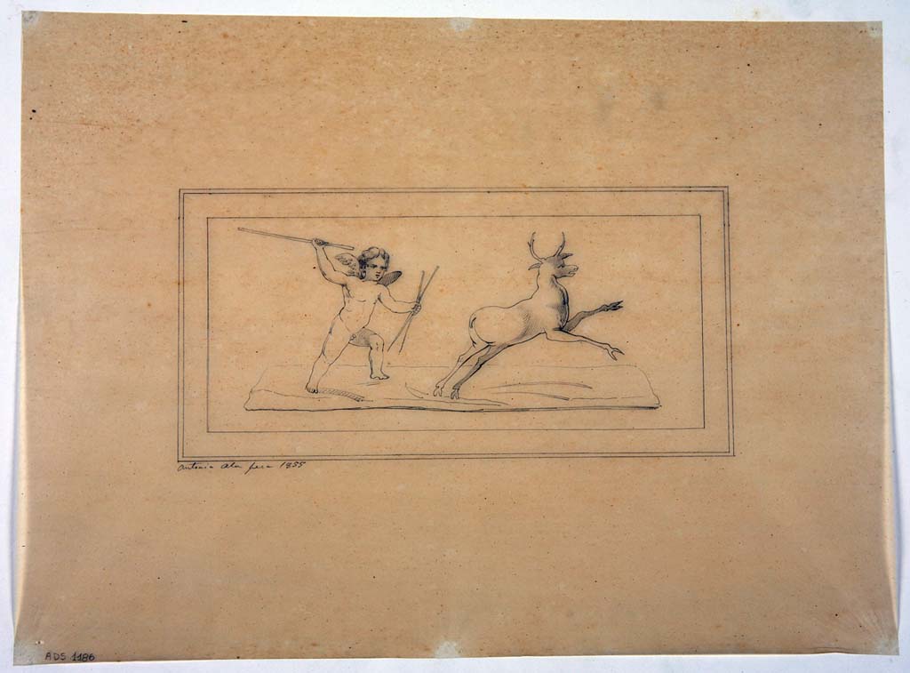 VII.4.31/51 Pompeii. Drawing by Antonio Ala, 1855, of a painted panel with a Cupid giving chase to a deer.
There is no exact location known for this panel. 
Now in Naples Archaeological Museum. Inventory number ADS 1186.
Photo © ICCD. http://www.catalogo.beniculturali.it
Utilizzabili alle condizioni della licenza Attribuzione - Non commerciale - Condividi allo stesso modo 2.5 Italia (CC BY-NC-SA 2.5 IT)

