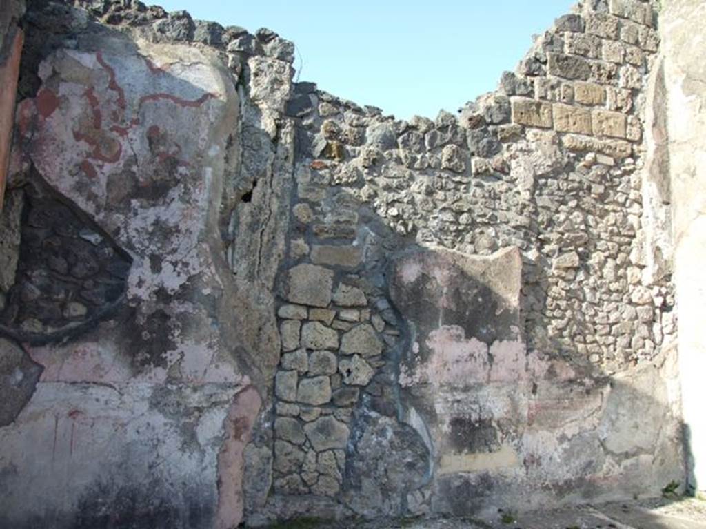 VII.4.31 Pompeii.  March 2009.  Room 24.  North wall.