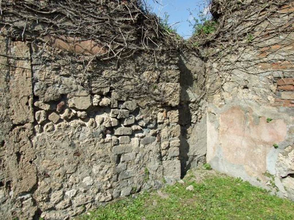 VII.4.56 Pompeii.  March 2009.  Room 1. Atrium.  North wall and north east corner, with recess.  Under the dead ivy in the top left hand corner are 2 lararium niches.
