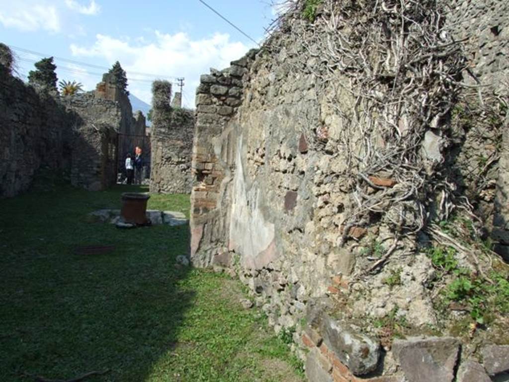 VII.4.56 Pompeii.  March 2009. Room 9, Tablinum.  East wall.