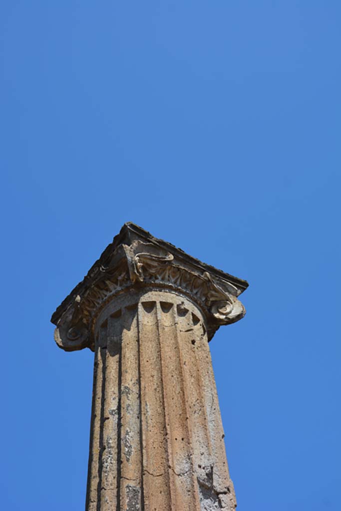 VII.4.57 Pompeii. September 2019. 
Detail of column and capital on north portico of peristyle.
Foto Annette Haug, ERC Grant 681269 DÉCOR.
