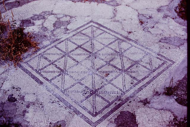 VII.4.59 Pompeii. c.1940. Mosaic floor of oecus m.
DAIR 40.792. Photo © Deutsches Archäologisches Institut, Abteilung Rom, Arkiv. 
See http://arachne.uni-koeln.de/item/marbilderbestand/936326
