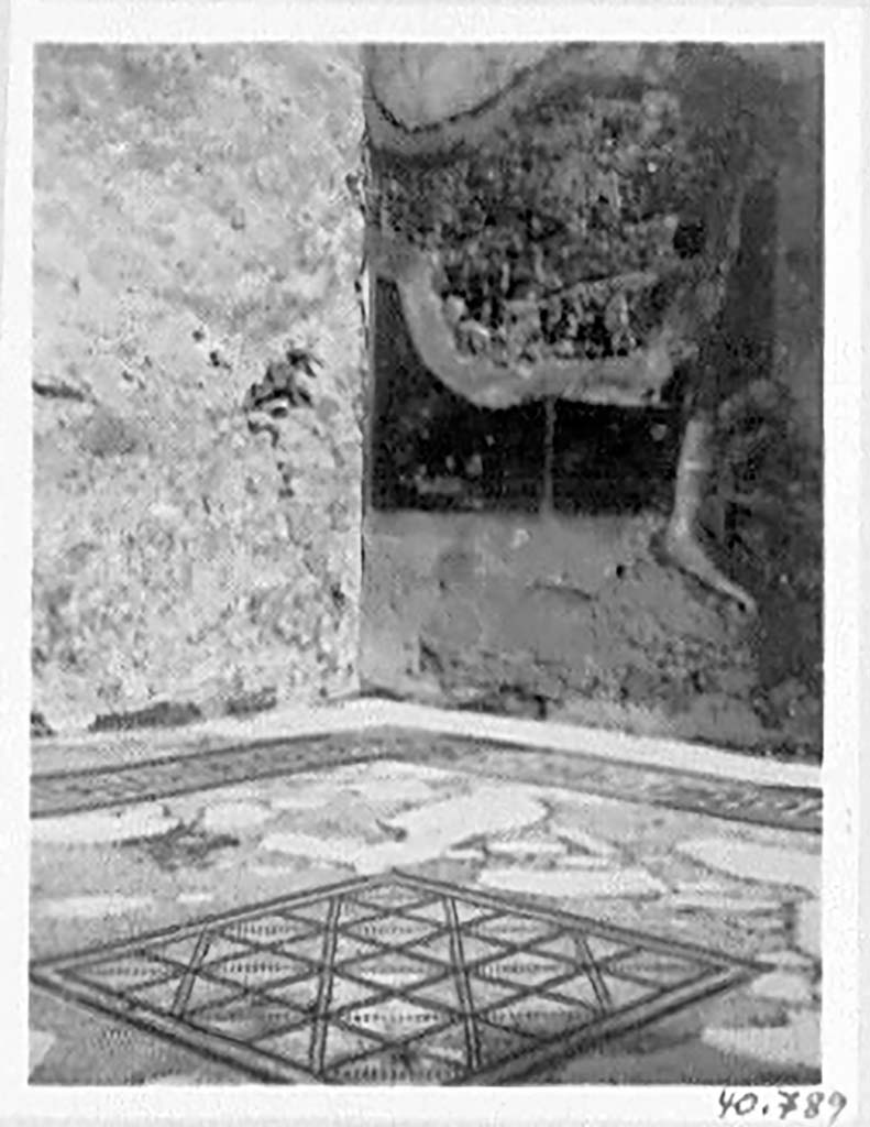 VII.4.59 Pompeii, 1978. Mosaic floor from oecus m. Photo by Stanley A. Jashemski.   
Source: The Wilhelmina and Stanley A. Jashemski archive in the University of Maryland Library, Special Collections (See collection page) and made available under the Creative Commons Attribution-Non Commercial License v.4. See Licence and use details. J78f0088

