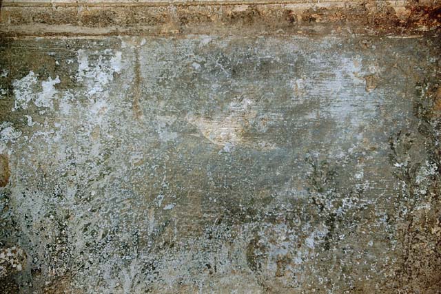 VII.5.24 Pompeii. May 2015. 
Frigidarium (19), detail of plasterwork on the south-east side of the cornice representing a race of cupids in two-horse chariots and on horse-back.  Photo courtesy of Buzz Ferebee.

