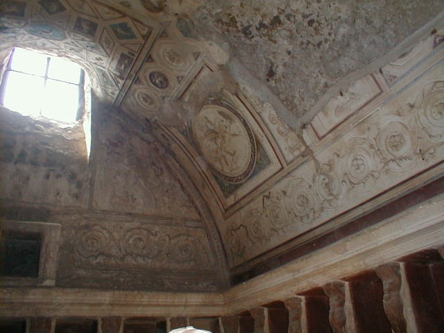VII.5.24 Pompeii. May 2015. Detail from ceiling plaster stucco in south-west corner of tepidarium (37). Photo courtesy of Buzz Ferebee.