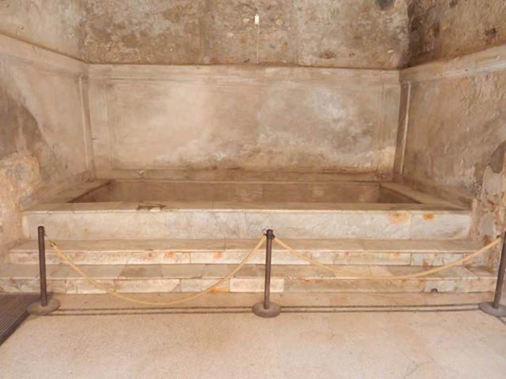VII.5.24 Pompeii. December 2005. Caldarium (39), mosaic floor and marble steps to hot bath (42).