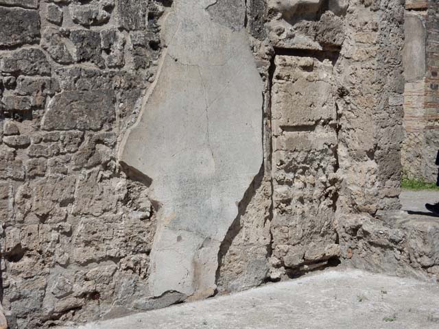 VII.7.2 Pompeii, May 2018. West wall of tablinum. Photo courtesy of Buzz Ferebee.