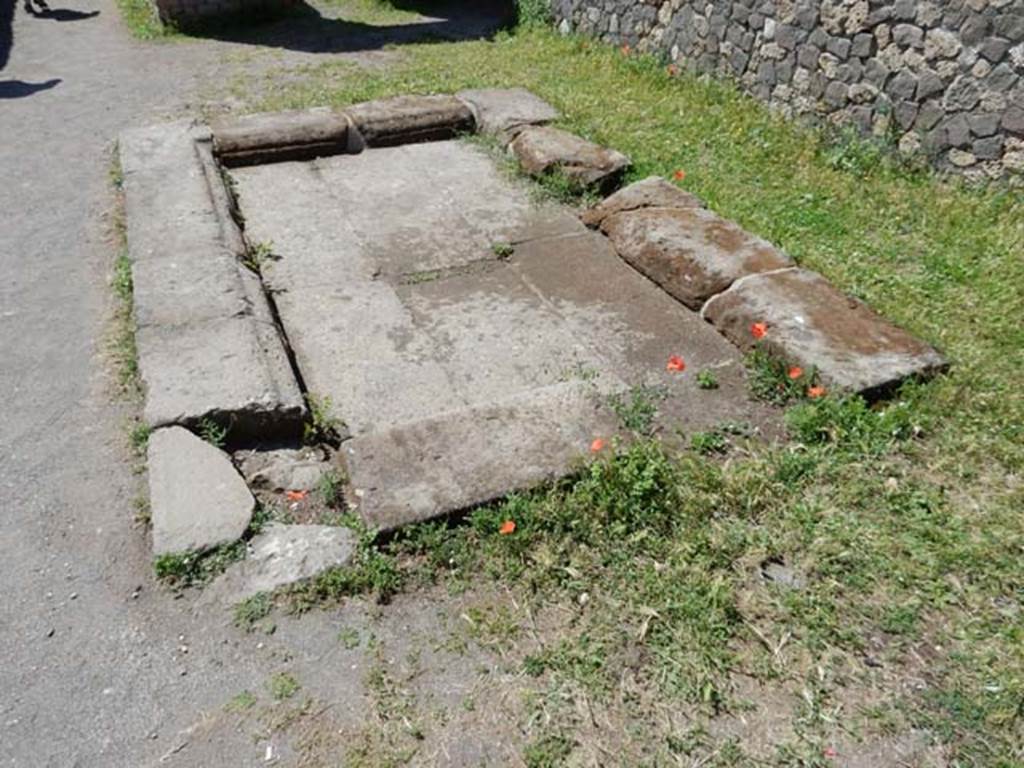 VII.7.2 Pompeii, May 2018. Detail of impluvium in atrium, looking south. Photo courtesy of Buzz Ferebee.