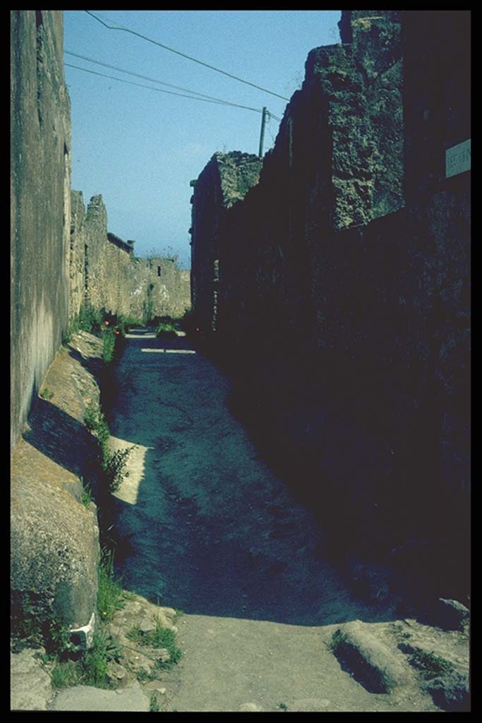 VII.7.18 side wall in Vicolo del Gallo. Looking south. Photographed 1970-79 by Günther Einhorn, picture courtesy of his son Ralf Einhorn.
