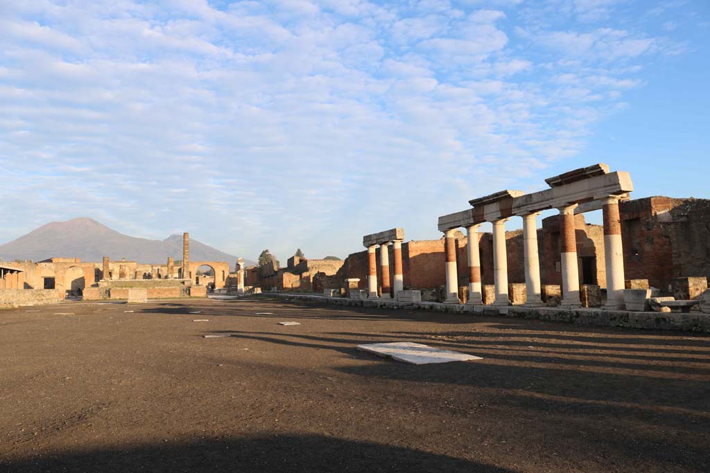 VII.8, Pompeii. December 2018. Looking north and towards east side. Photo courtesy of Aude Durand.

