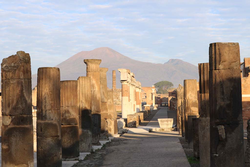 VII.8 Pompeii Forum. December 2018. Looking west from portico in south-east corner. Photo courtesy of Aude Durand.