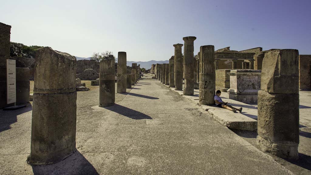VII.8 Pompeii Forum. January 1977. Portico of Eumachia Building on east side of Forum. Photo courtesy of David Hingston.

