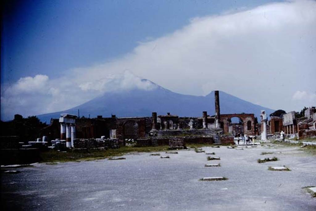 VII.8 Pompeii. 1964. Looking north. Photo by Stanley A. Jashemski.
Source: The Wilhelmina and Stanley A. Jashemski archive in the University of Maryland Library, Special Collections (See collection page) and made available under the Creative Commons Attribution-Non Commercial License v.4. See Licence and use details. J64f1254
