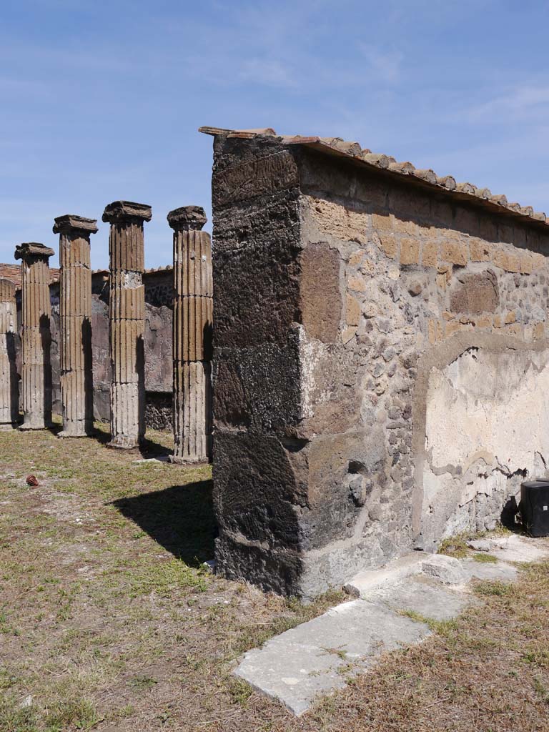VII.8.1 Pompeii. April 2018. Looking north to steps on west side of Temple, leading up the podium. 
Photo courtesy of Ian Lycett-King. Use is subject to Creative Commons Attribution-NonCommercial License v.4 International.
