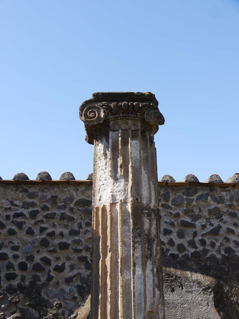 VII.8.01 Pompeii. September 2018. Detail from column near west wall.  
Foto Anne Kleineberg, ERC Grant 681269 DÉCOR.

