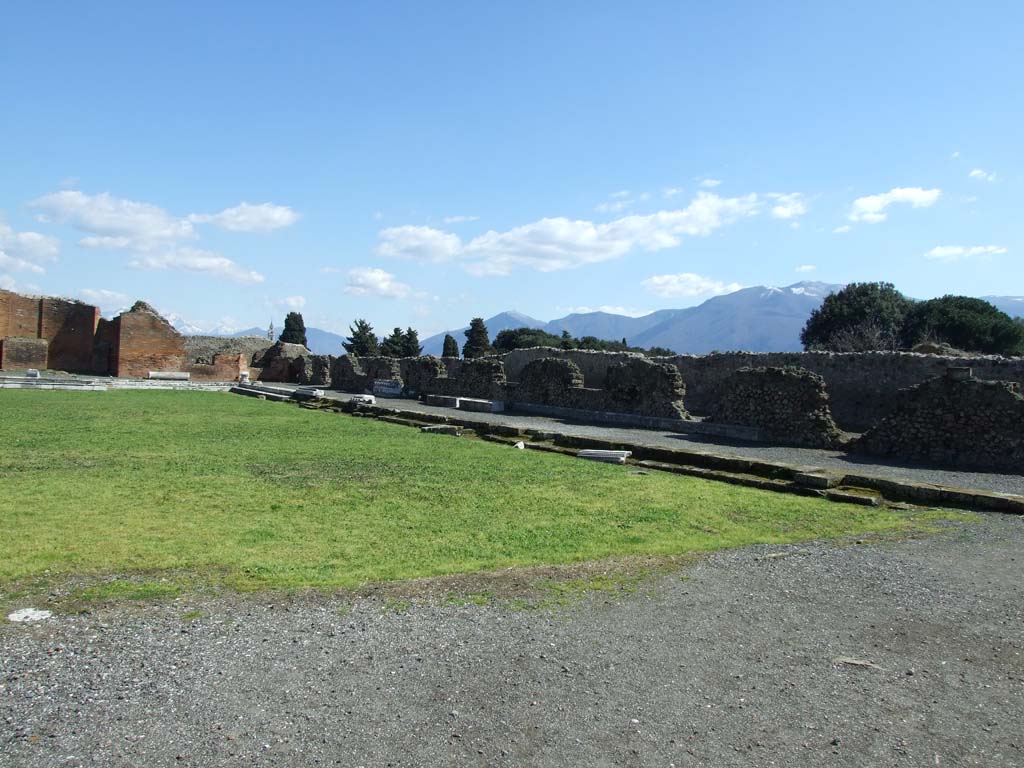 VII.9.1 Pompeii. March 2009. South side of courtyard.