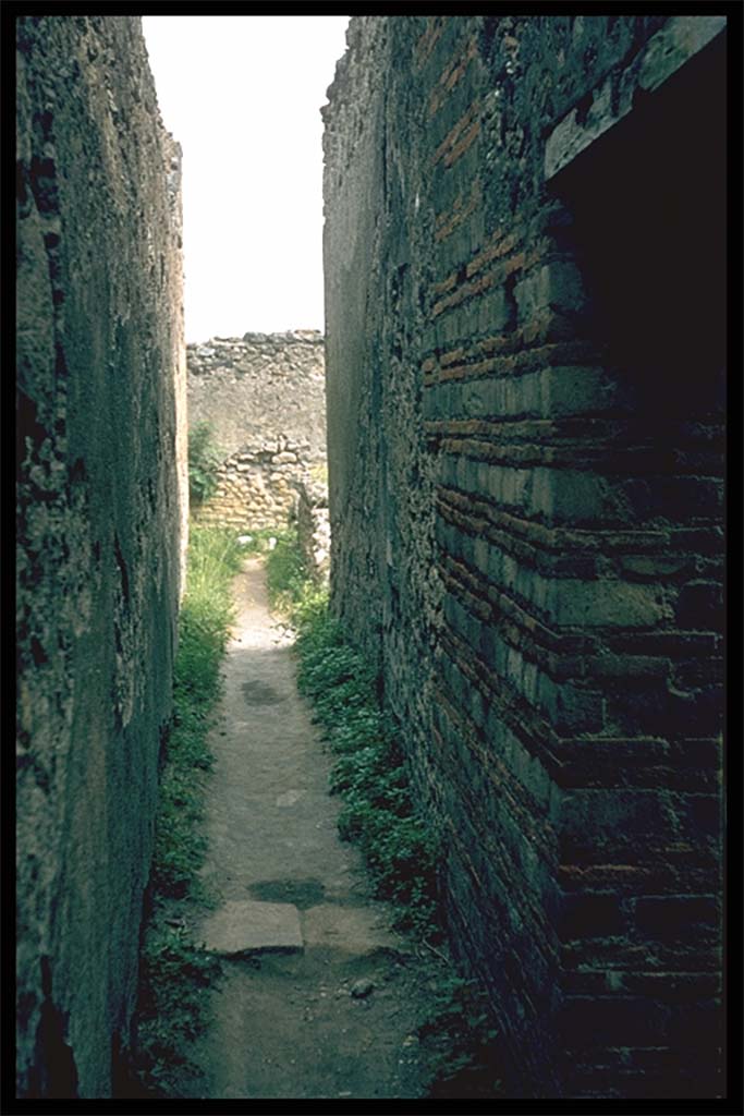 VII.9.1 Pompeii. Looking south from north corridor 12. 
Photographed 1970-79 by Günther Einhorn, picture courtesy of his son Ralf Einhorn.
