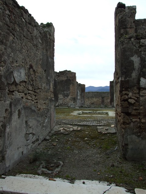 VII.9.47 Pompeii.  March 2009.  Entrance vestibule and fauces, looking south across Atrium.