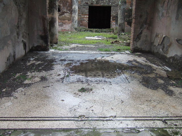 VII.10.3 Pompeii. December 2005. Looking east across mosaic floor with central motif in tablinum, room 7, towards garden.