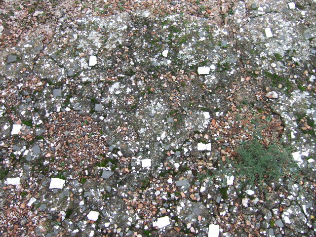 VII.10.5  Pompeii. December 2005. Remains of flooring. 