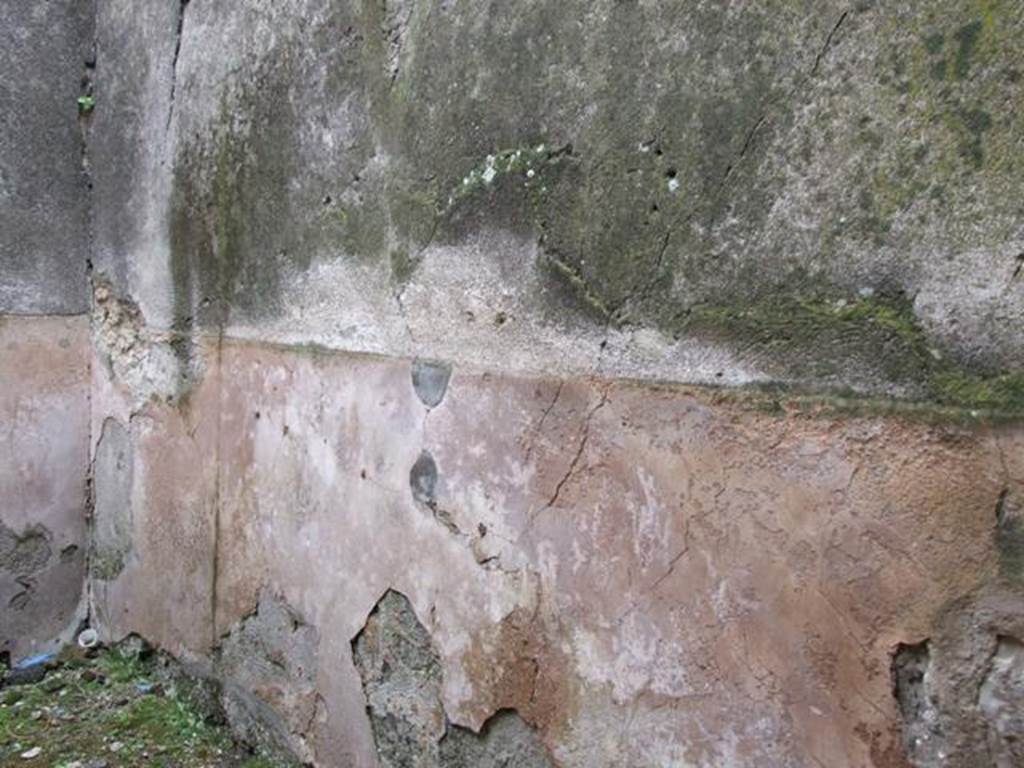 VII.11.14 Pompeii.  March 2009. Room 12. South wall.