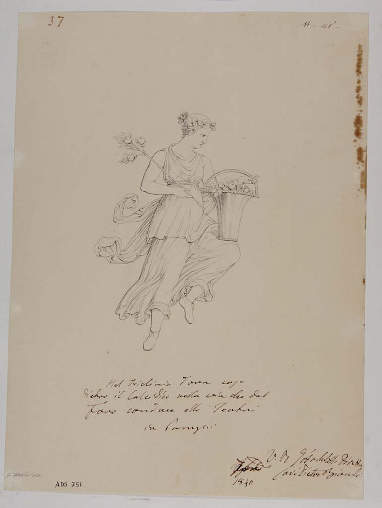 VII.13.4 Pompeii. Drawing by Giuseppe Abbate, 1840, of painting seen on wall of oecus/cubiculum.
This drawing has been described as Spring, but fits the description of Autumn better -
“Autumn crowned with vine-leaves, with a branch and a basket of fruit”. 
Now in Naples Archaeological Museum. Inventory number ADS 751.
Photo © ICCD. http://www.catalogo.beniculturali.it
Utilizzabili alle condizioni della licenza Attribuzione - Non commerciale - Condividi allo stesso modo 2.5 Italia (CC BY-NC-SA 2.5 IT)
