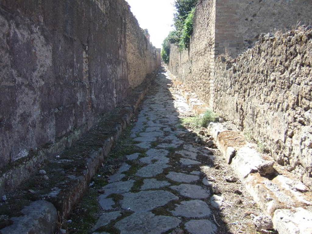 VII.14.16 Pompeii. September 2005. Vicolo degli Scheletri, looking west. VII.11 on right.