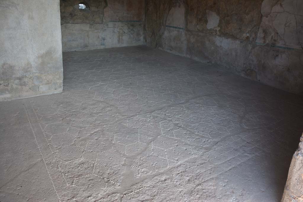 VII.15.2 Pompeii. March 2009. Apodyterium, or lounging room. The large lounging room was entered through the second doorway on the left of the corridor. It was windowless and appears to have been given its wide doorway especially to receive light from the court. Its pavement was lavapesto decorated with white marble tesserae tracing an interlaced double hexagonal pattern. On the walls were large paintings of Polyphemus and Galatea (west wall), The Slaughter of the Niobids (north wall), The Punishment of Dirce (east wall), and Perseus and Andromeda (south wall). All were damaged, and their original height is unknown, but all measured 1.62 m. in width. See Franklyn, J.L., 1990. Pompeii, the Casa del Marinaio and its history. Rome: L’Erma di Bretschneider.