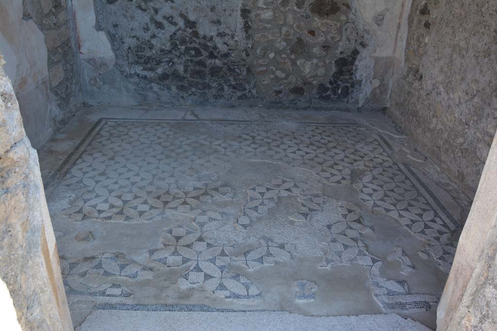 VII.15.2 Pompeii. May 2018. South wall of cubiculum, with trace of stucco cornice on the upper wall.
Photo courtesy of Buzz Ferebee. 
