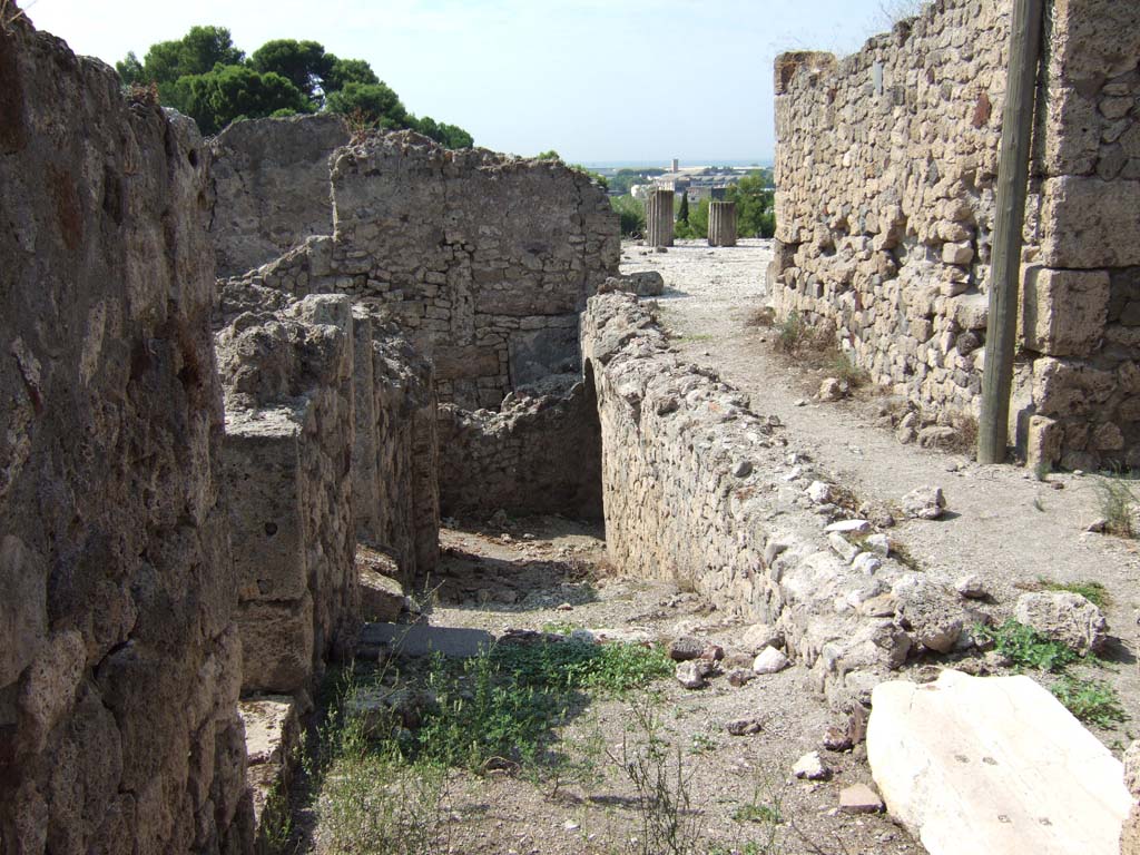 VII.16.12 Pompeii. September 2005. Looking west from area 27 towards corridor 12, leading to lower levels of VII.16.13.
According to Boyce, found in the west wall in a rear room with the large oven, was an arched niche. It was of irregular shape.
Its walls profusely decorated on a pinkish background with spots of many colours.
These are combined with star-like flowers on the vaulted ceiling.
See Boyce G. K., 1937. Corpus of the Lararia of Pompeii. Rome: MAAR 14. (p.73, no.339) 
